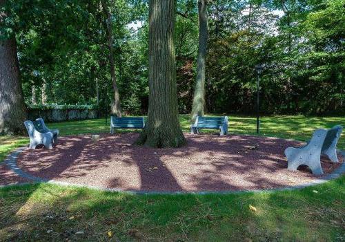 Outdoor bench seating area surrounding a tree at Eola公园 apartments for rent in 费城, PA